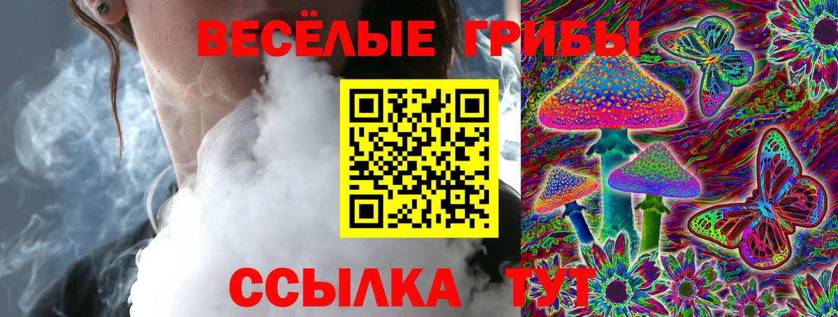 Соль-Илецк  Псилоцибиновые грибы Psilocybe  Вход с VPN  Псилоцибиновые грибы Psilocybine cubensis 