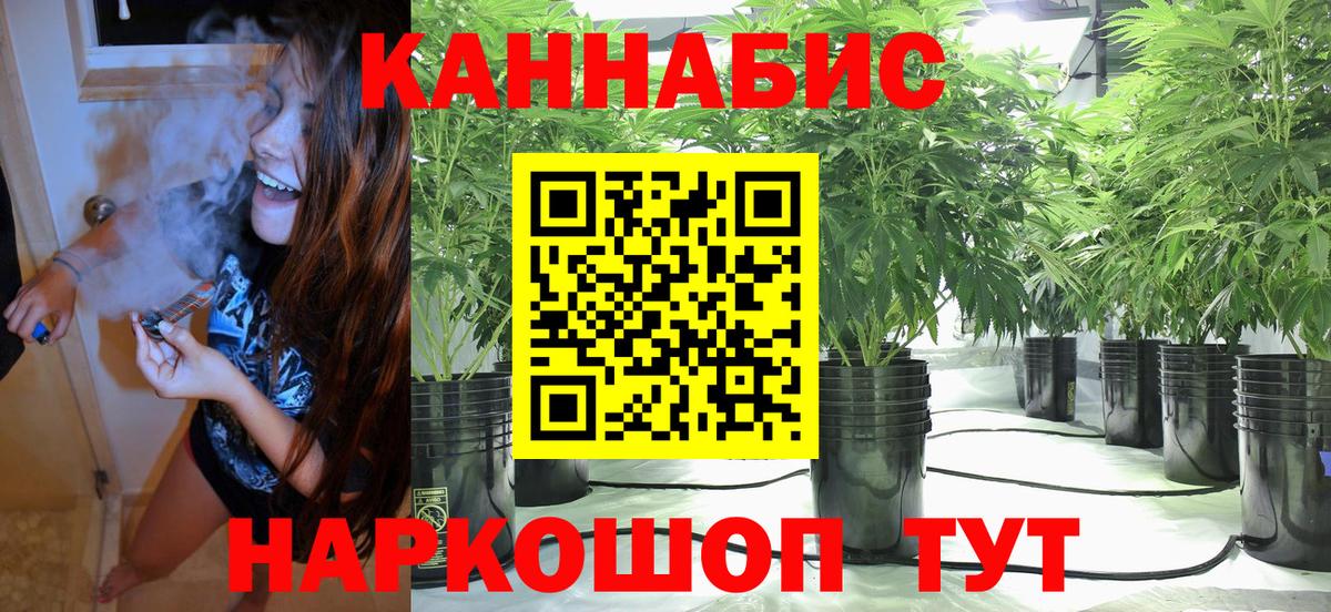 Конопля семена  Шишки марихуана гибрид  Вход с VPN  Каннабис индика  Соль-Илецк 